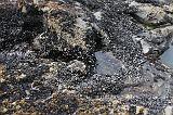 IMG_6405