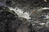 IMG_6409
