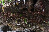 IMG_6416