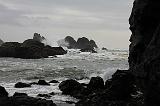 IMG_6419