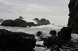 IMG_6420