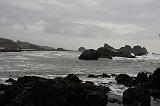 IMG_6423
