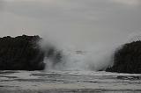 IMG_6425