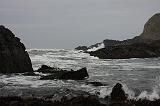 IMG_6429