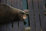 IMG_6447