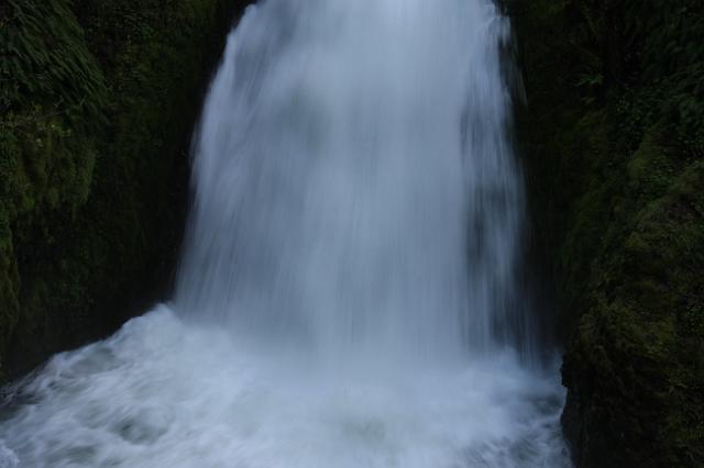 IMG_6711.JPG