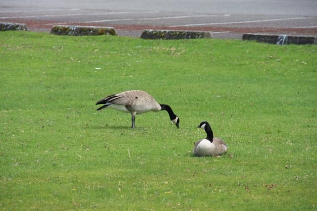 IMG_6748.JPG