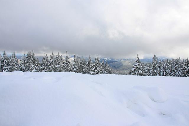 IMG_6766.JPG