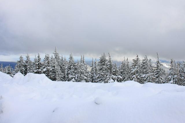IMG_6767.JPG