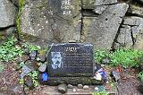 IMG_6366