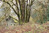 IMG_6389