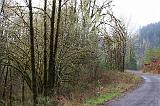 IMG_6391