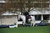 IMG_6650