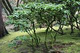 IMG_6681