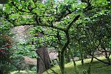 IMG_6682