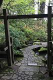IMG_6685