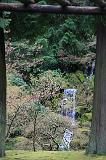 IMG_6693
