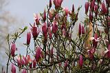 IMG_6697