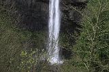 IMG_6705