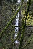 IMG_6706