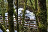 IMG_6715