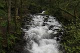 IMG_6716