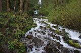IMG_6720