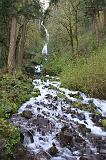 IMG_6721