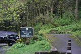 IMG_6722