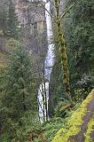 IMG_6728