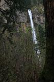 IMG_6730