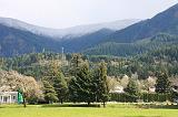 IMG_6750
