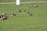 IMG_6753