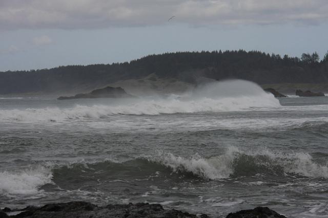 IMG_6336.JPG