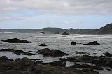 IMG_6307