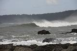 IMG_6323