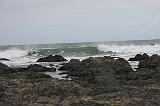 IMG_6335