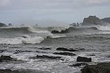 IMG_6338