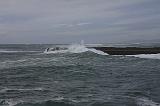 IMG_6358