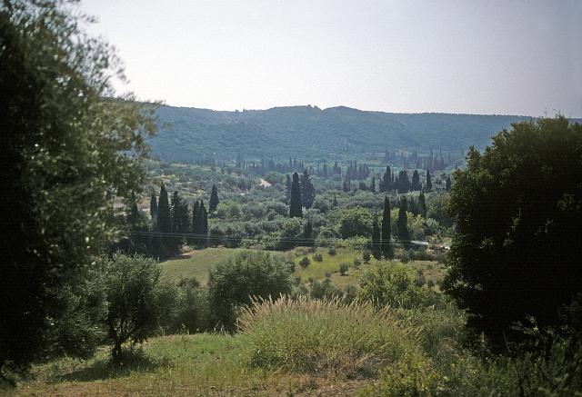 greece0061.jpg - It's all pine and olive trees...