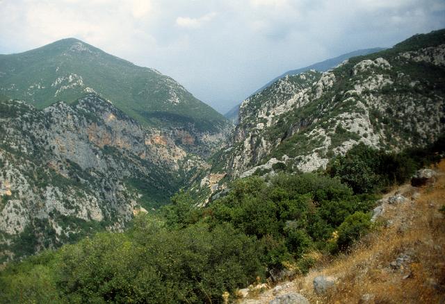 greece0163.jpg - Along the Kalamata-Sparti road.