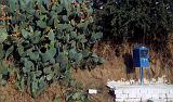 greece0158