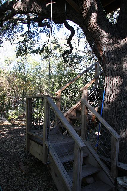 IMG_0733.jpg - Stairway to the tree house.