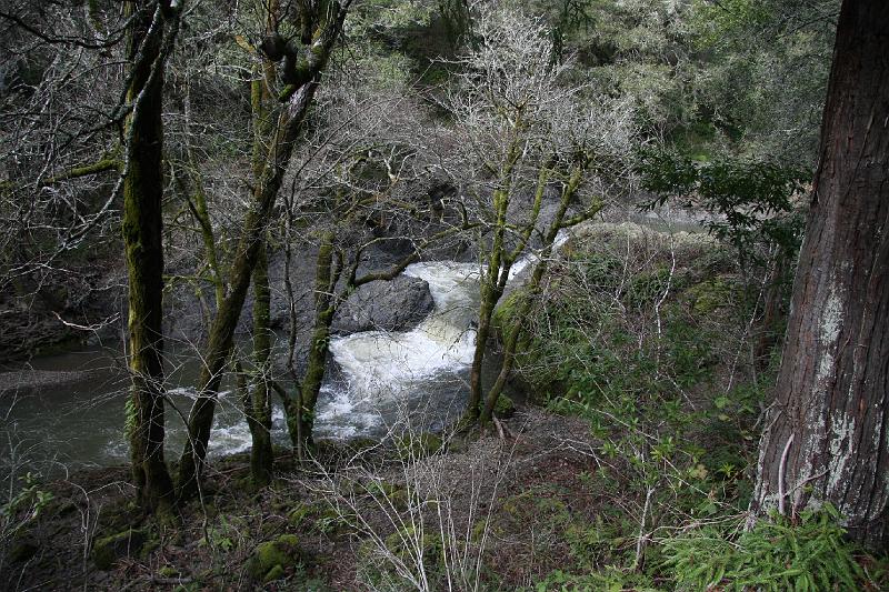 IMG_1197.JPG - A little waterfall in Samuel Taylor State Park.