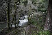 IMG_1197