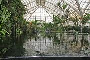IMG_1278