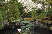 IMG_1280